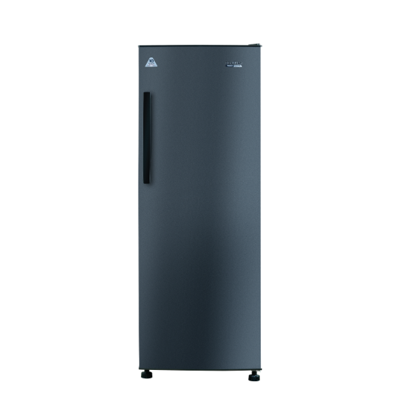 Condura NEGOSYO PRO Inverter Upright Freezer