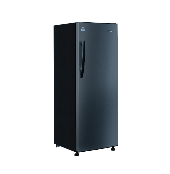Condura NEGOSYO PRO Inverter Upright Freezer