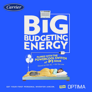 Carrier Optima Window Type Air Conditioner New