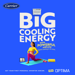 Carrier Optima Window Type Air Conditioner New