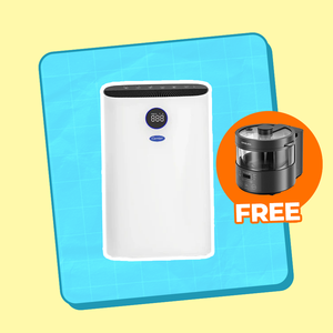 Air Purifiers & Filters